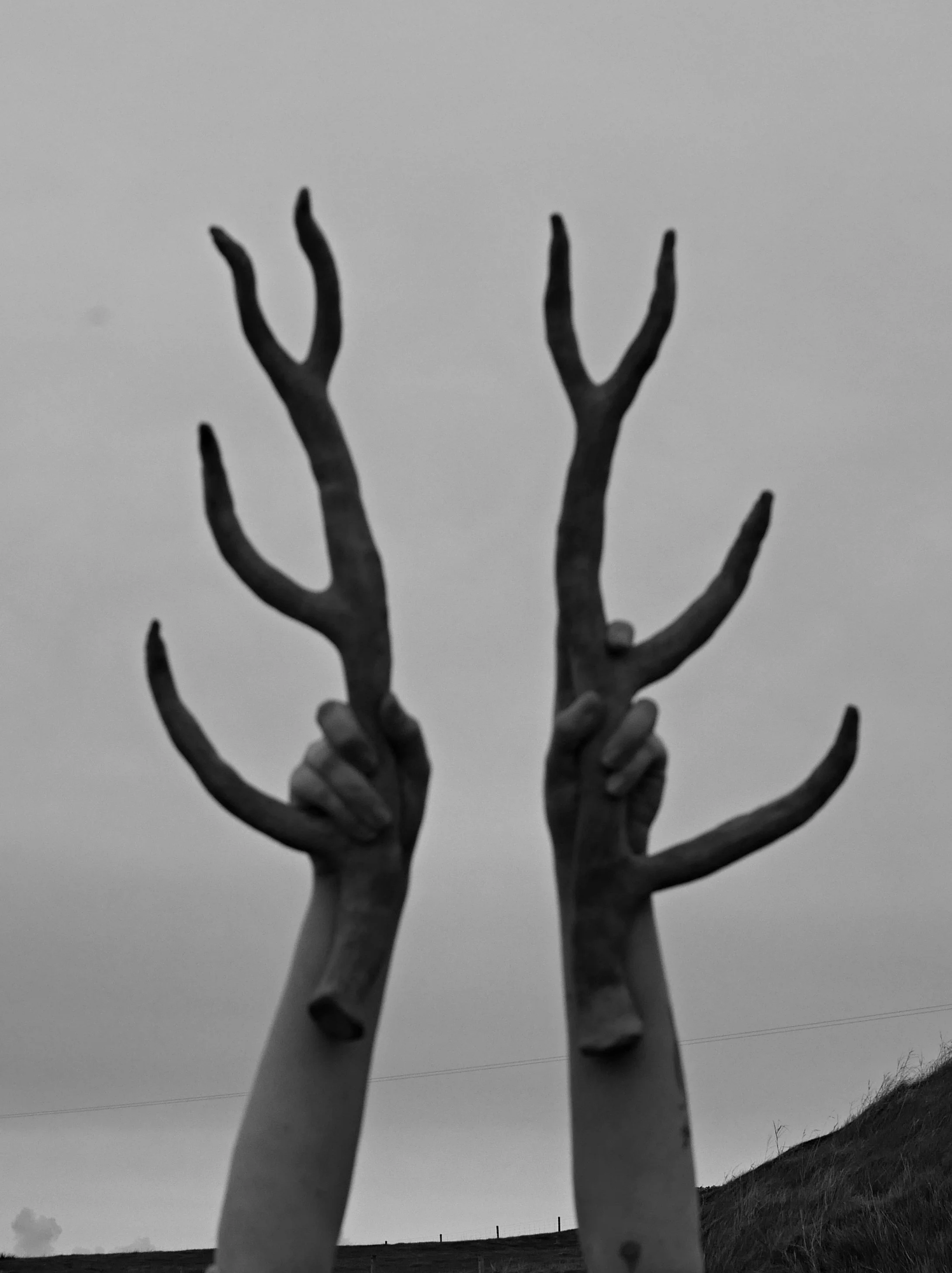 antler hands.JPG