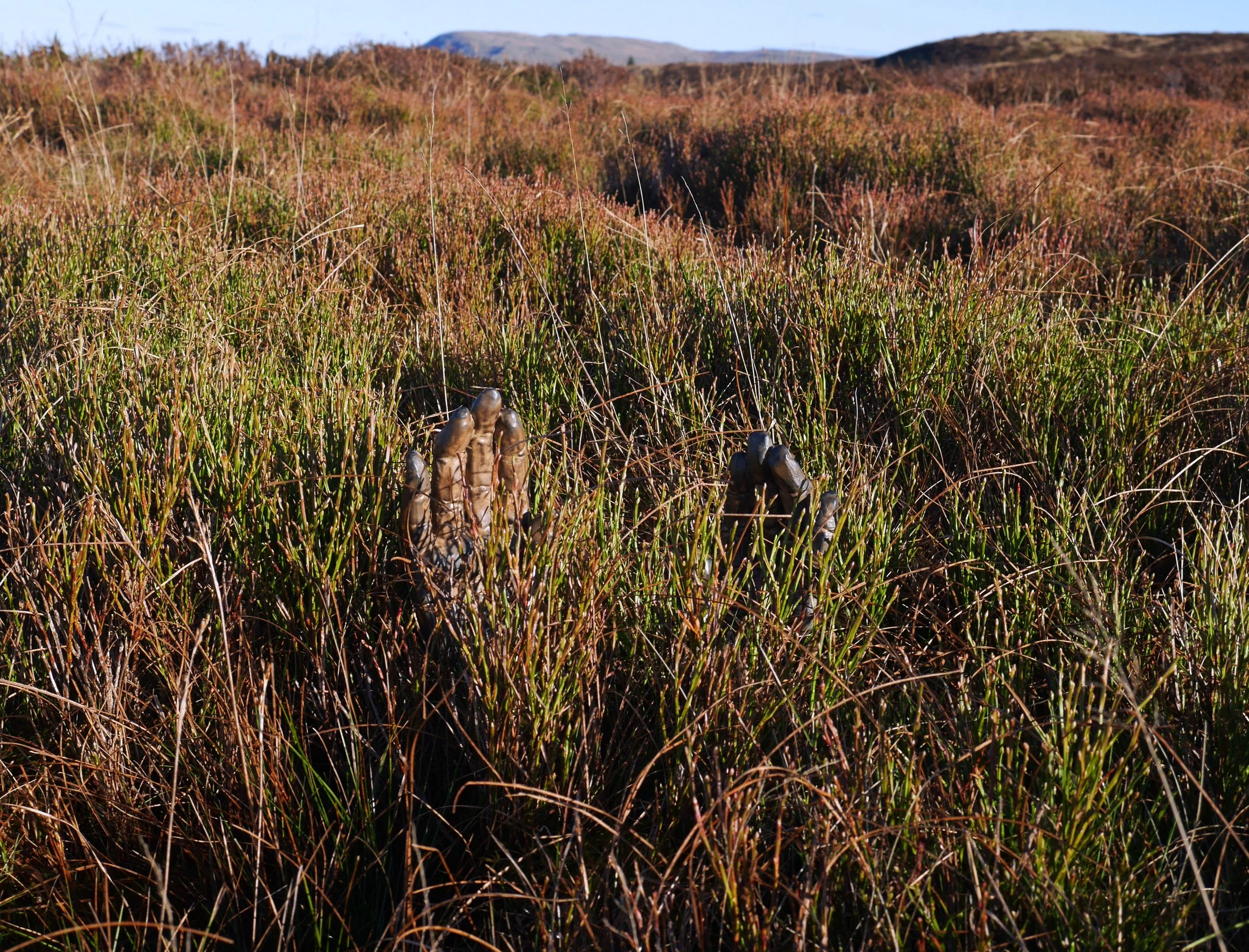 hands in grass 2.JPG