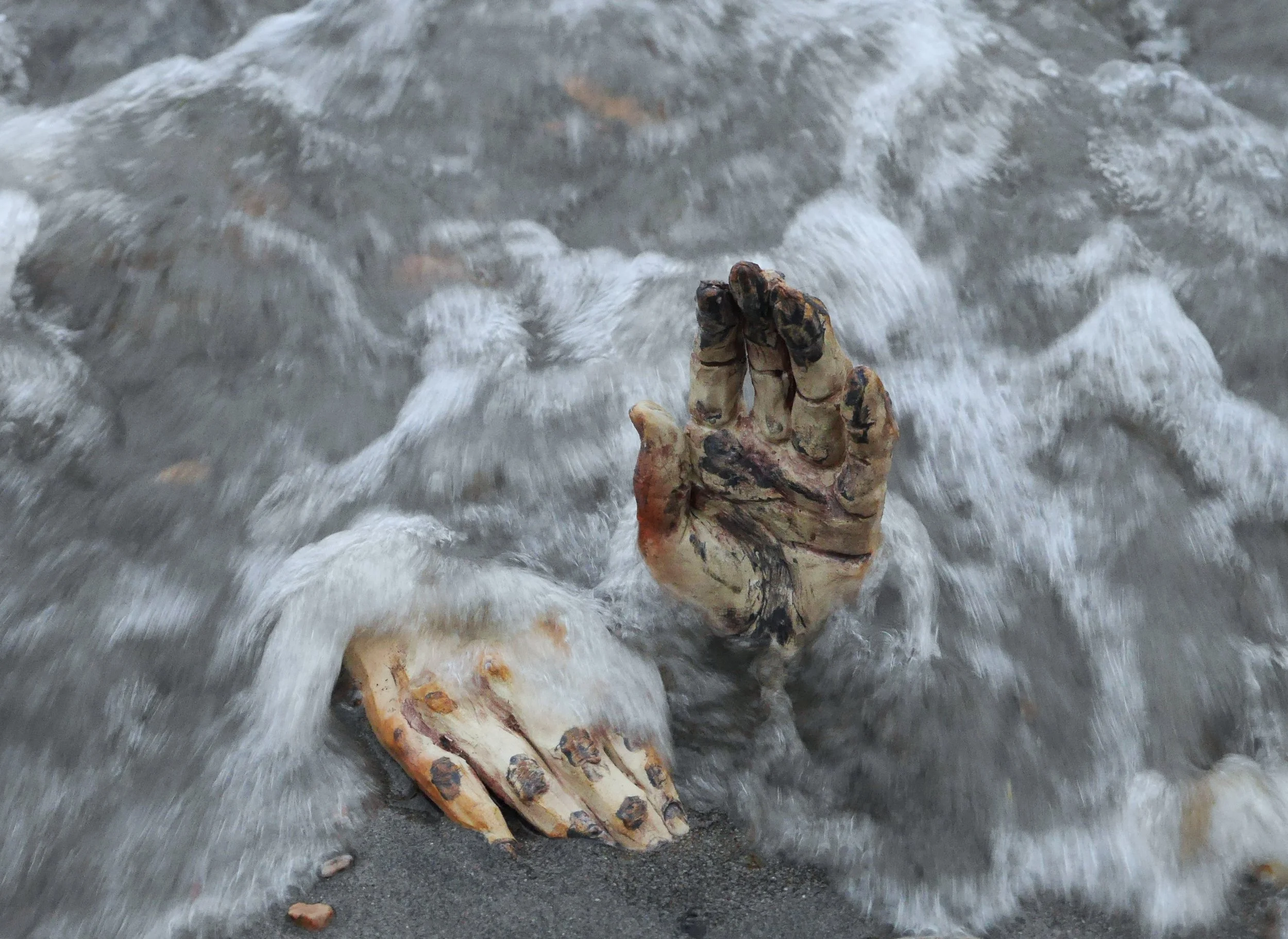 sea hands .JPG