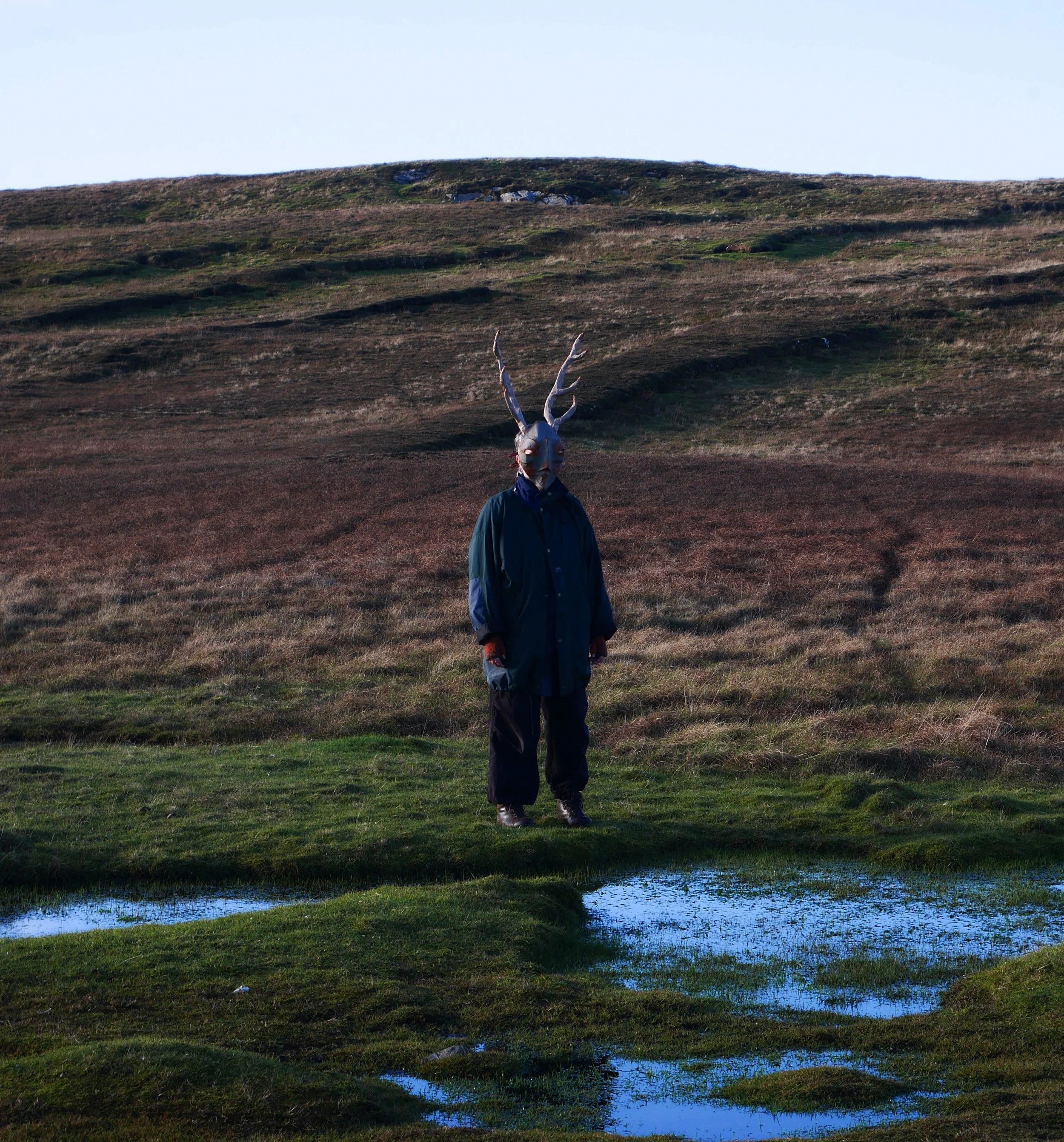 deer bog edit crop.jpg