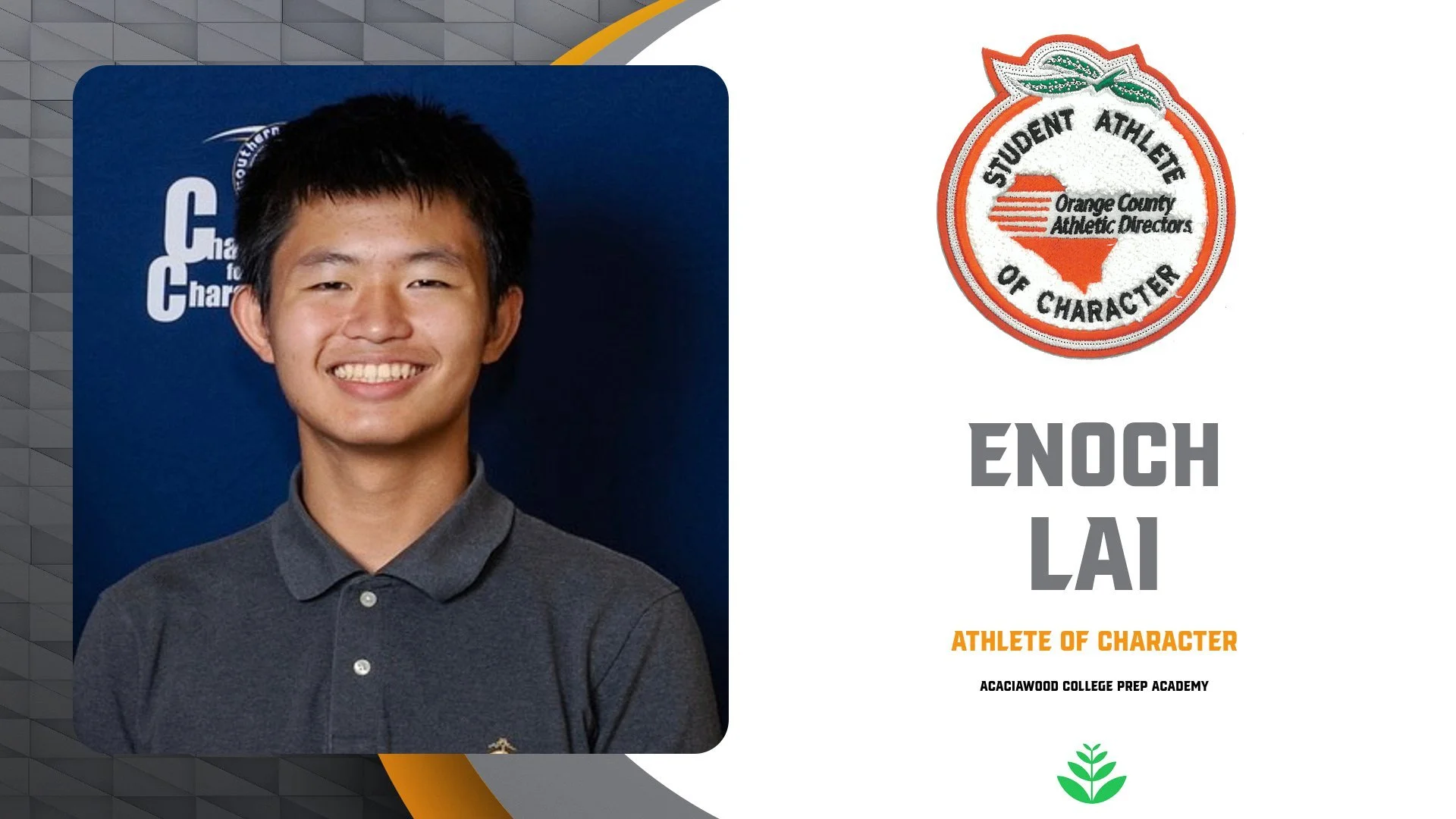 ACACIAWOOD - LAI.jpg