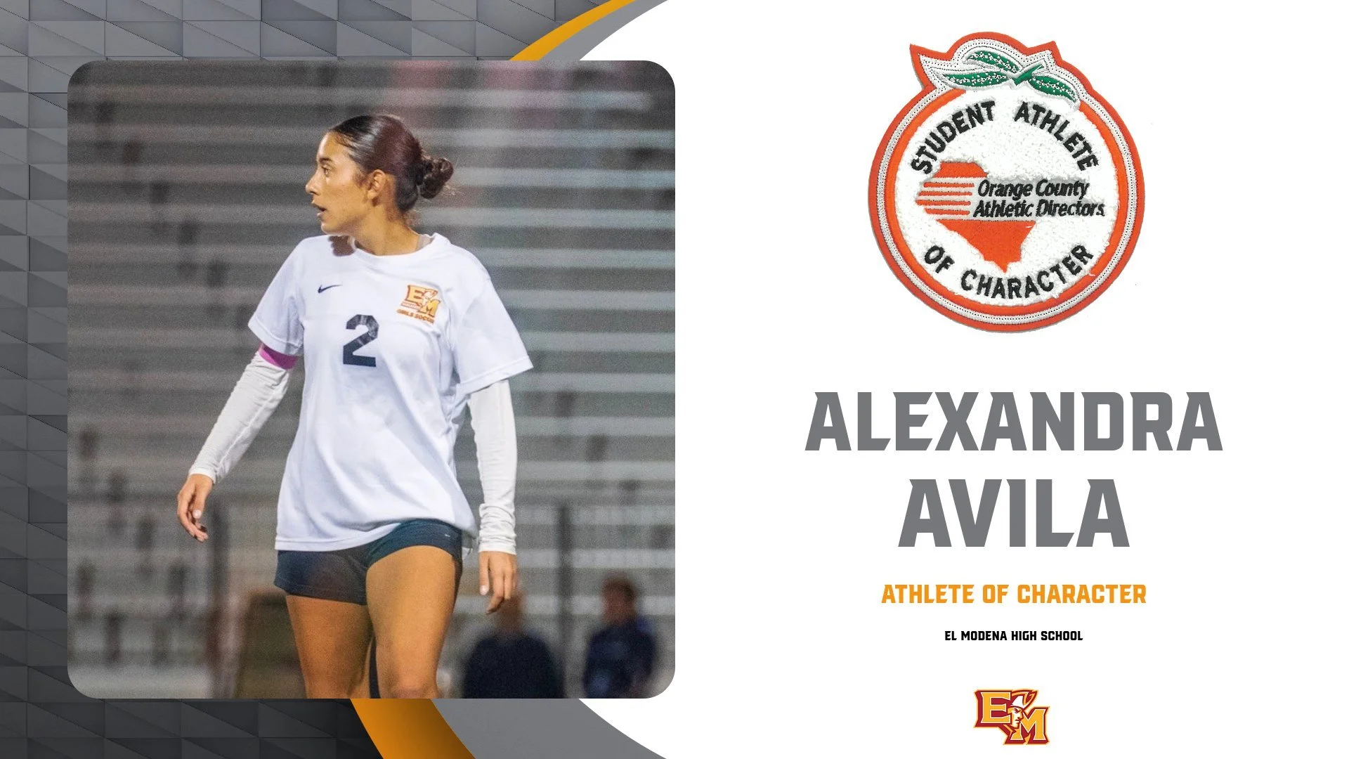 EL MODENA - AVIAL.jpg