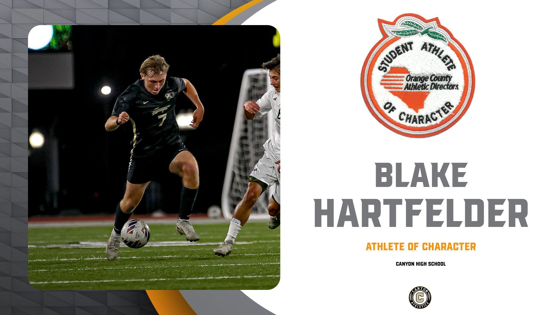 CANYON - HARTFELDER.jpg