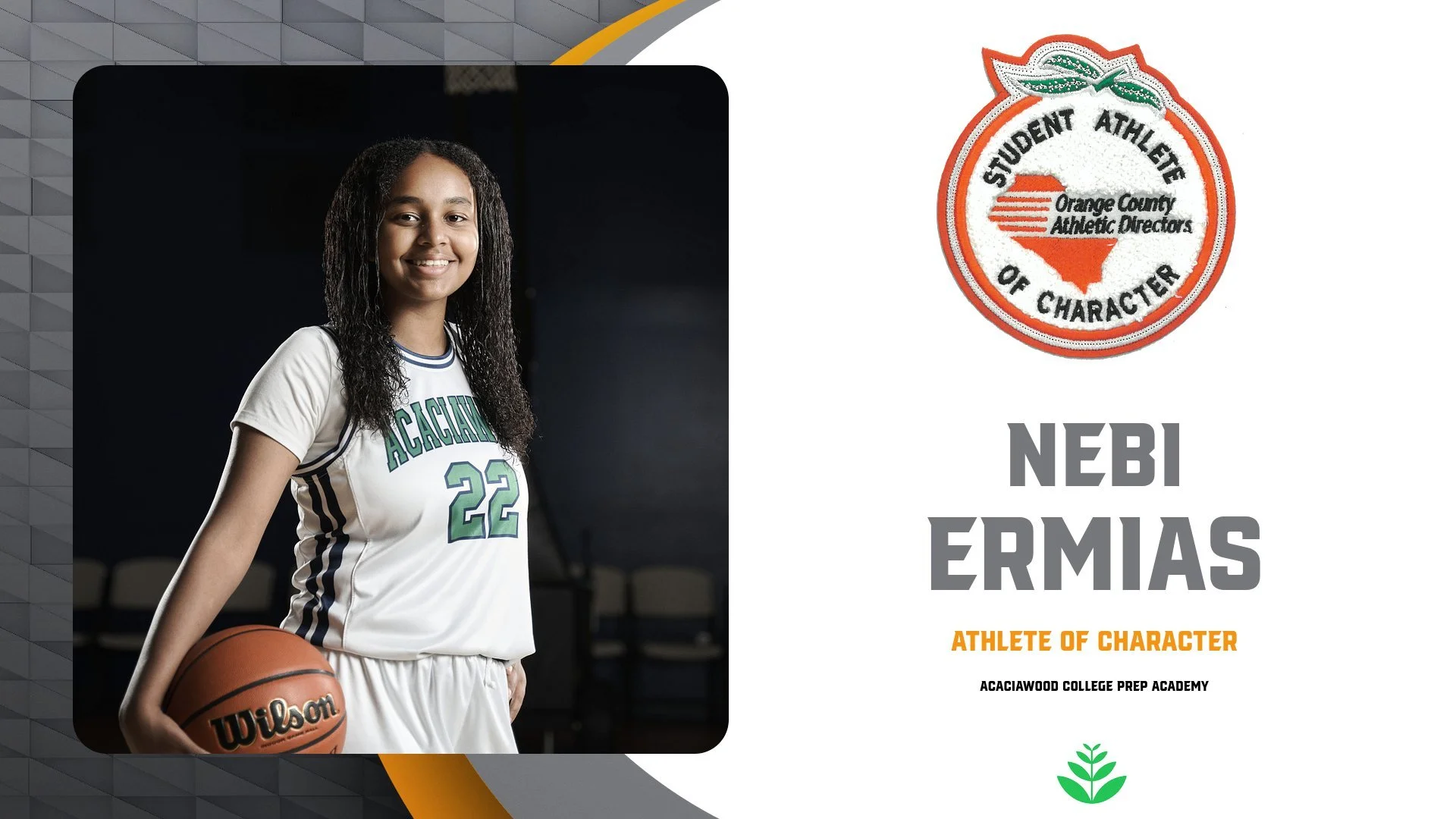 ACACIAWOOD - ARMIAS.jpg