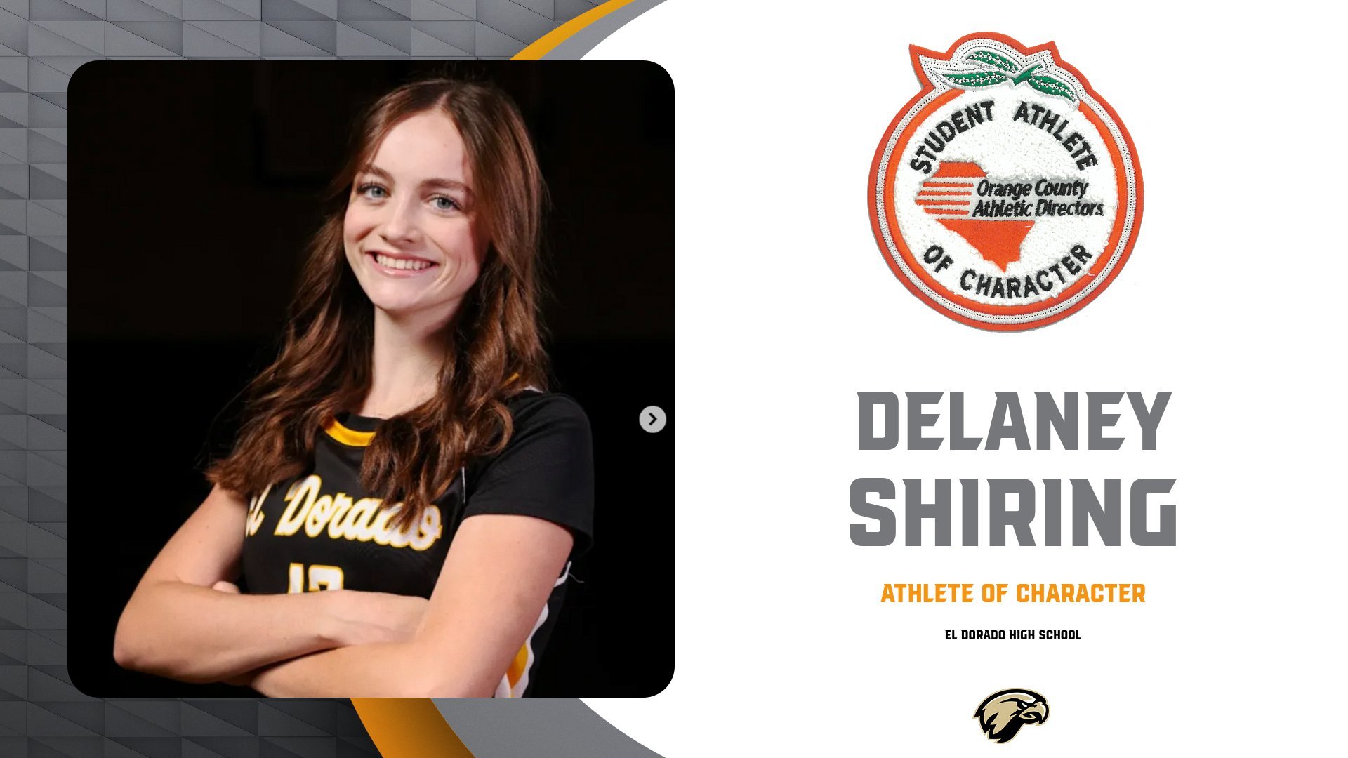 EL DORADO - SHIRING.jpg