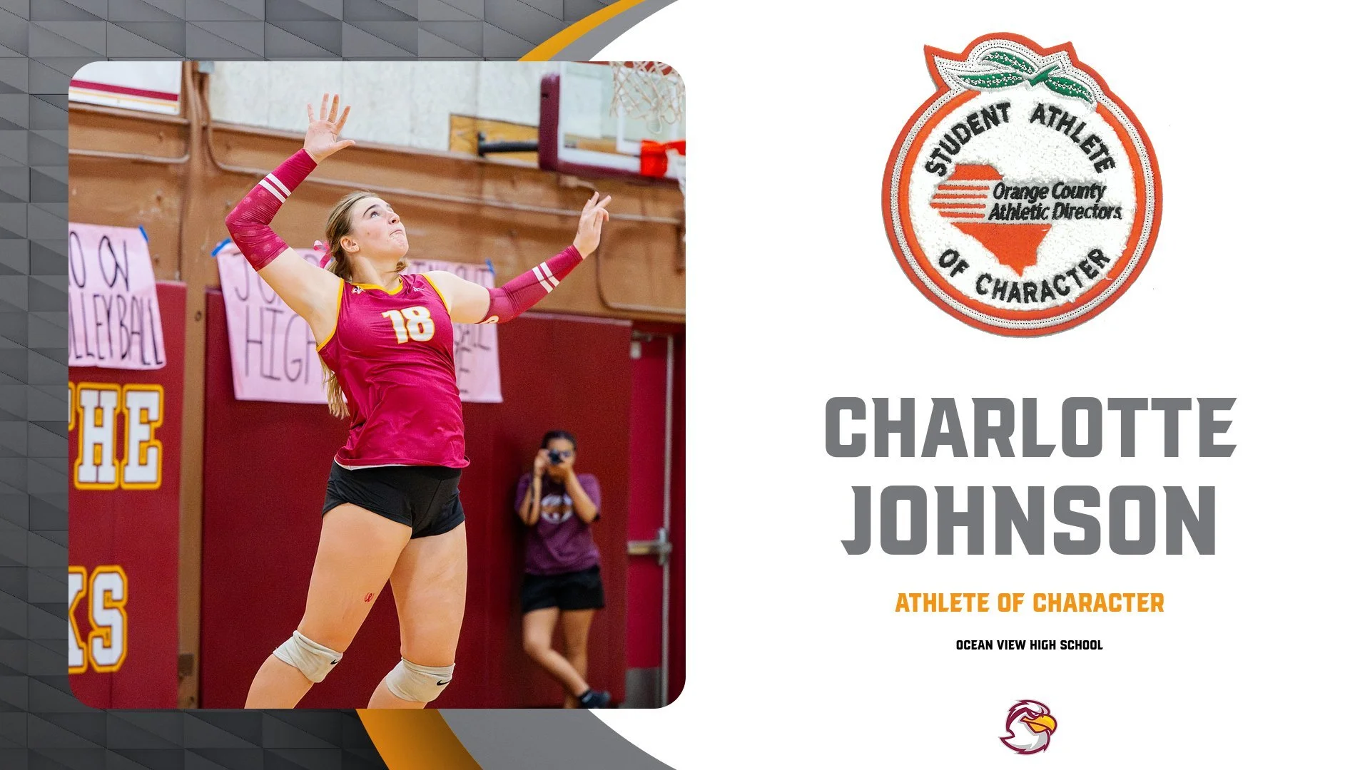 OCEAN VIEW - JOHNSON.jpg