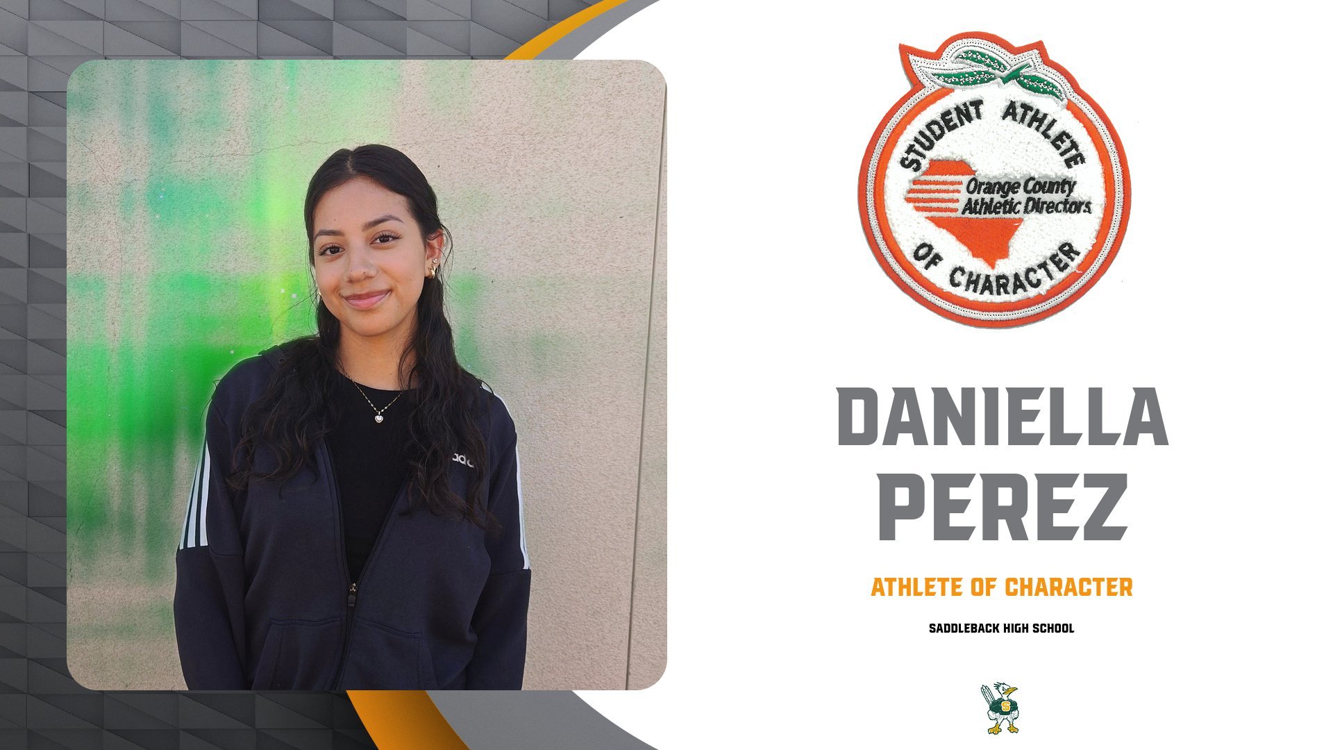 SADDLEBACK - PEREZ.jpg