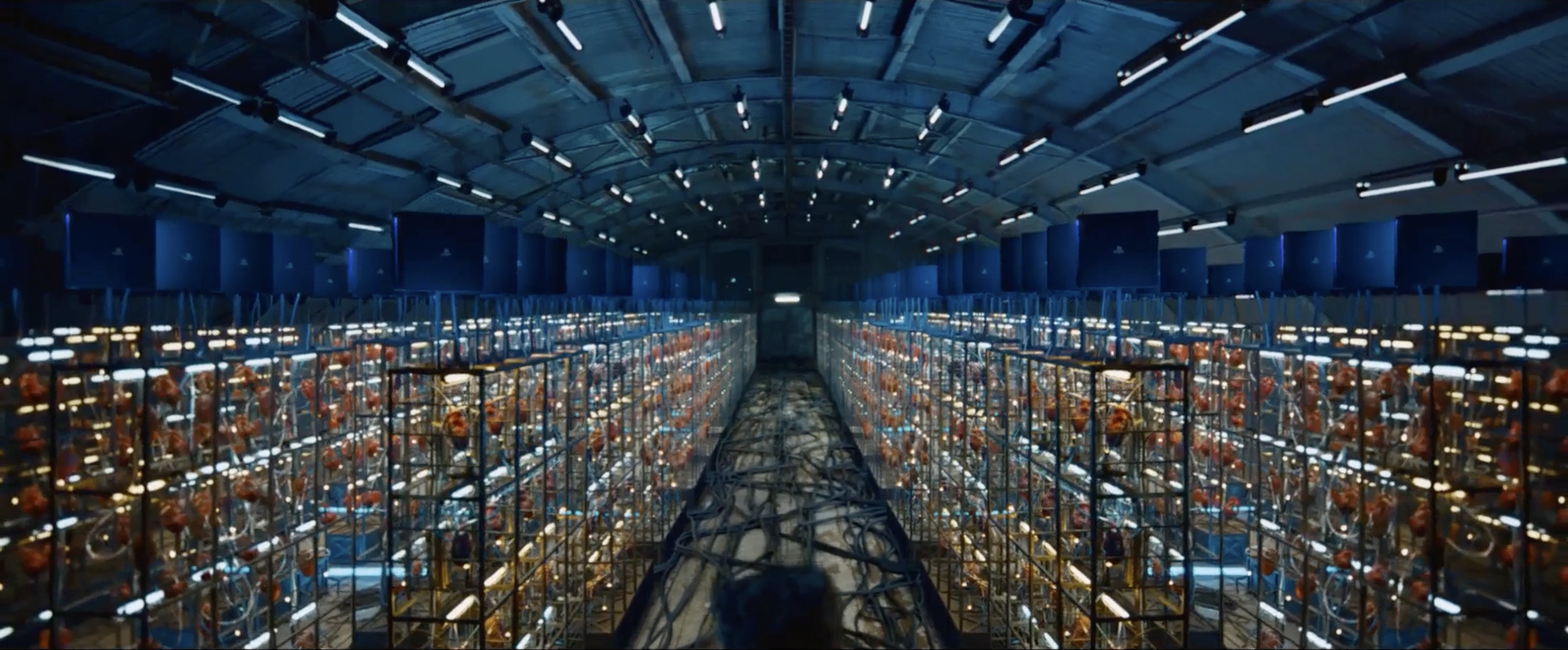 Screenshot 2024-05-23 at 13.54.50.png