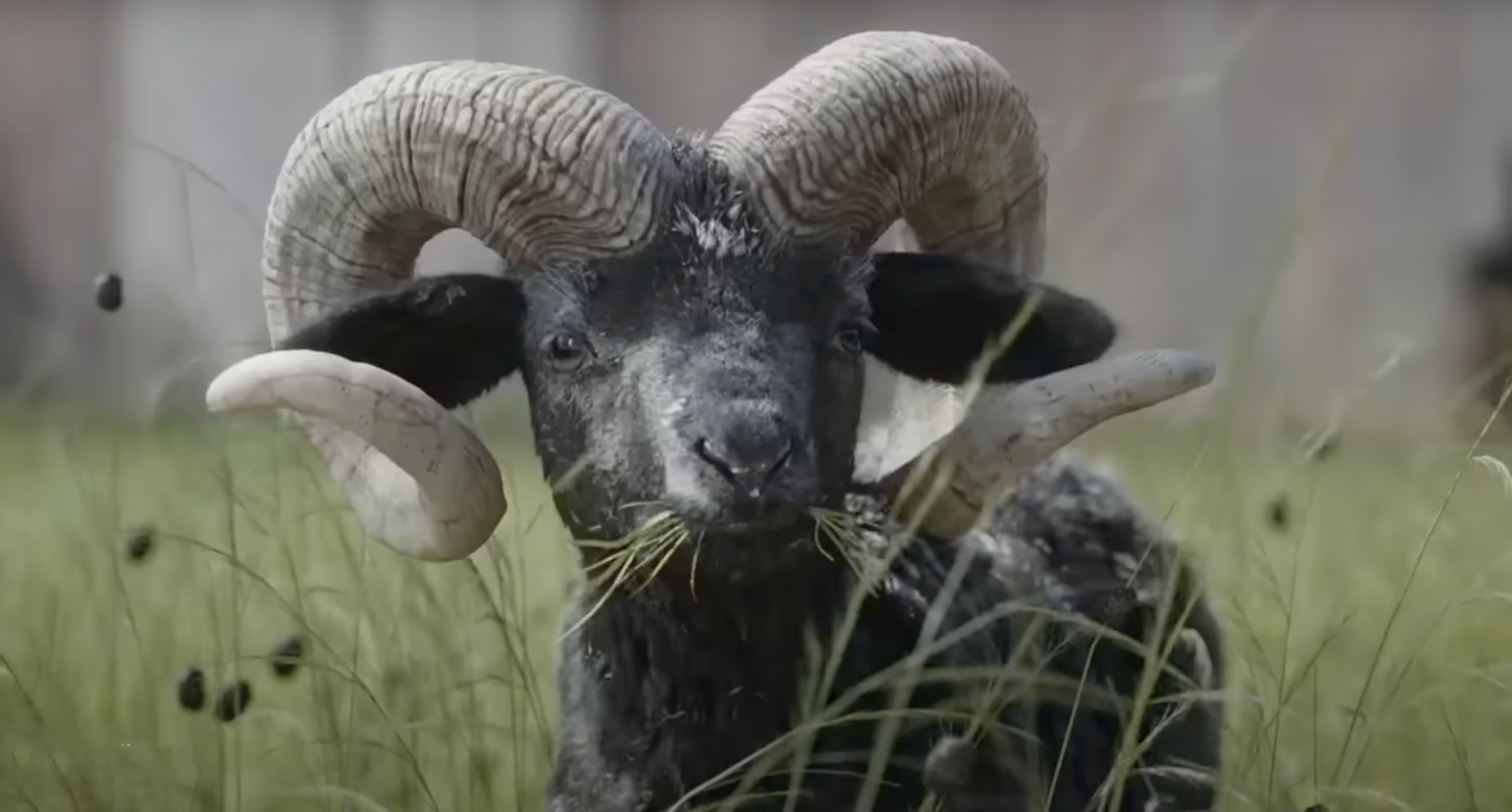 Screenshot 2024-05-23 at 15.15.54.png