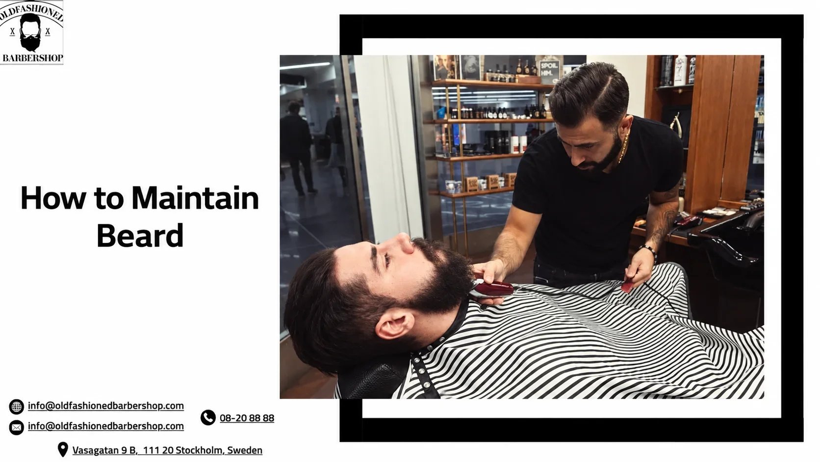 How to Maintain Beard