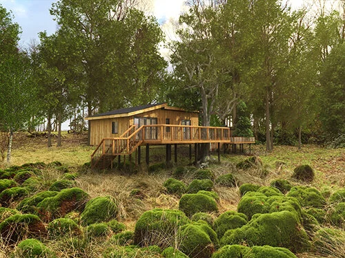 Treehouses Landrick Estate Doune Plot 2.jpg