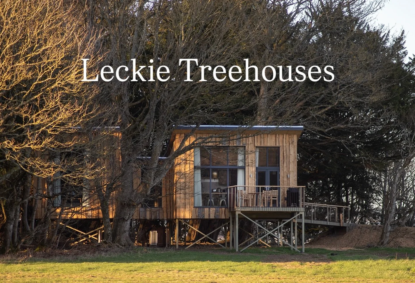 🍂Welcome to The Treehouses at Leckie🍂 

Want to find out more&hellip;.SAVE this post now so you can always find it!

At Leckie we have 4 luxury Treehouses. 

Chiffchaff and Goldfinch Treehouses have one bedroom with super king beds and the option f
