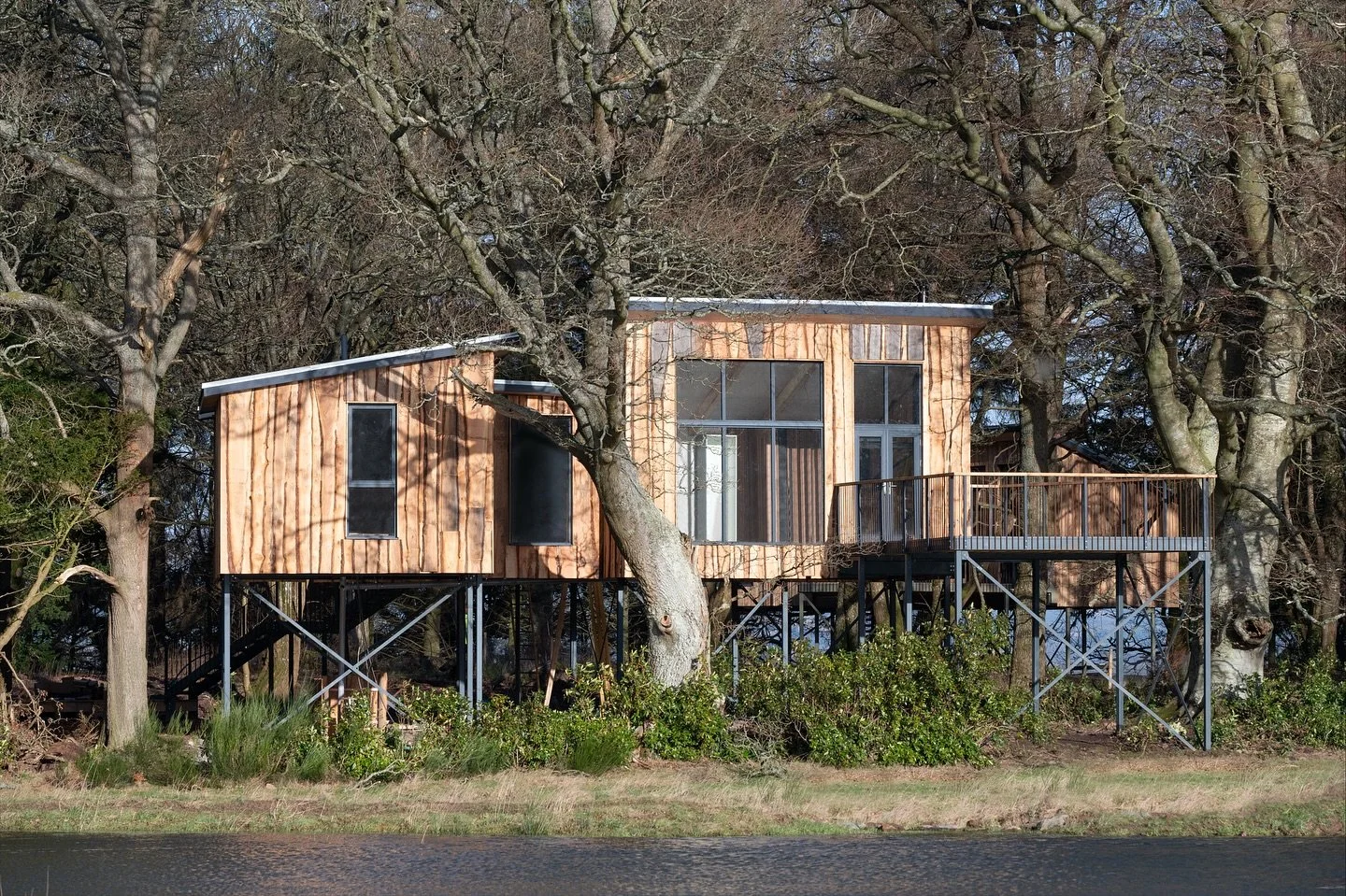 Last minute availability at Leckie Treehouses 
Our treehouse &lsquo;Siskin&rsquo;  is free 27-30th November on our 3 for 2 nights offer 
Link in bio,under Leckie 

#treehousestays #luxuryaccommodation #scottishstaycation #lastminute
