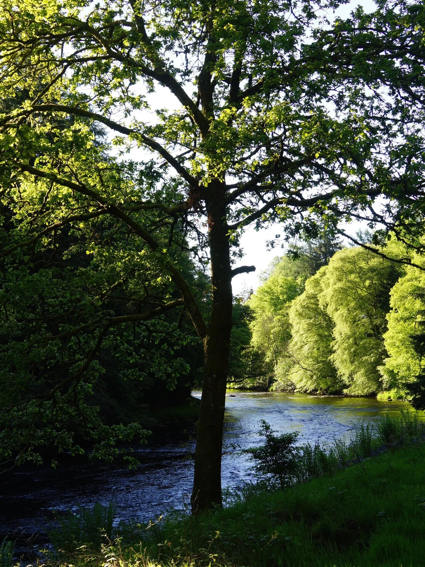 Beautiful mornings at Lanrick with spring on the way soon. 
Spend a day by the water, enjoy the beautiful scenery around you 
https://www.lanricktreehouses.co.uk/