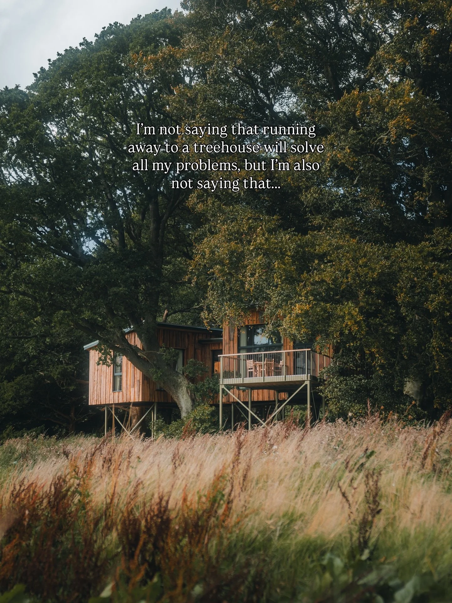 We think it helps 🤭 And we have last minute availability this weekend. Contact us directly or book through the website for the best price 

#the_treehouses #luxurystays #scottishstaycation #stirling