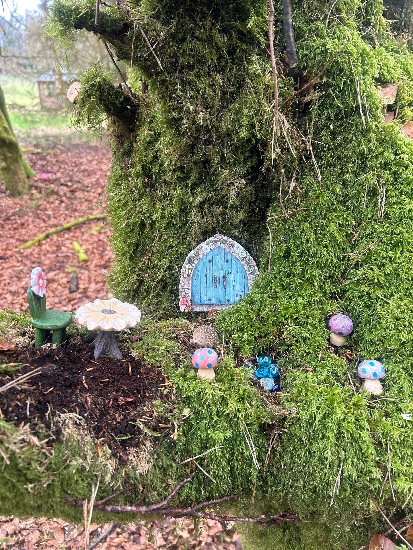 A little magic in our grounds
Our new fairy garden is ready to explore 

#fairygarden #treehousestays #scottishstaycation #stirling