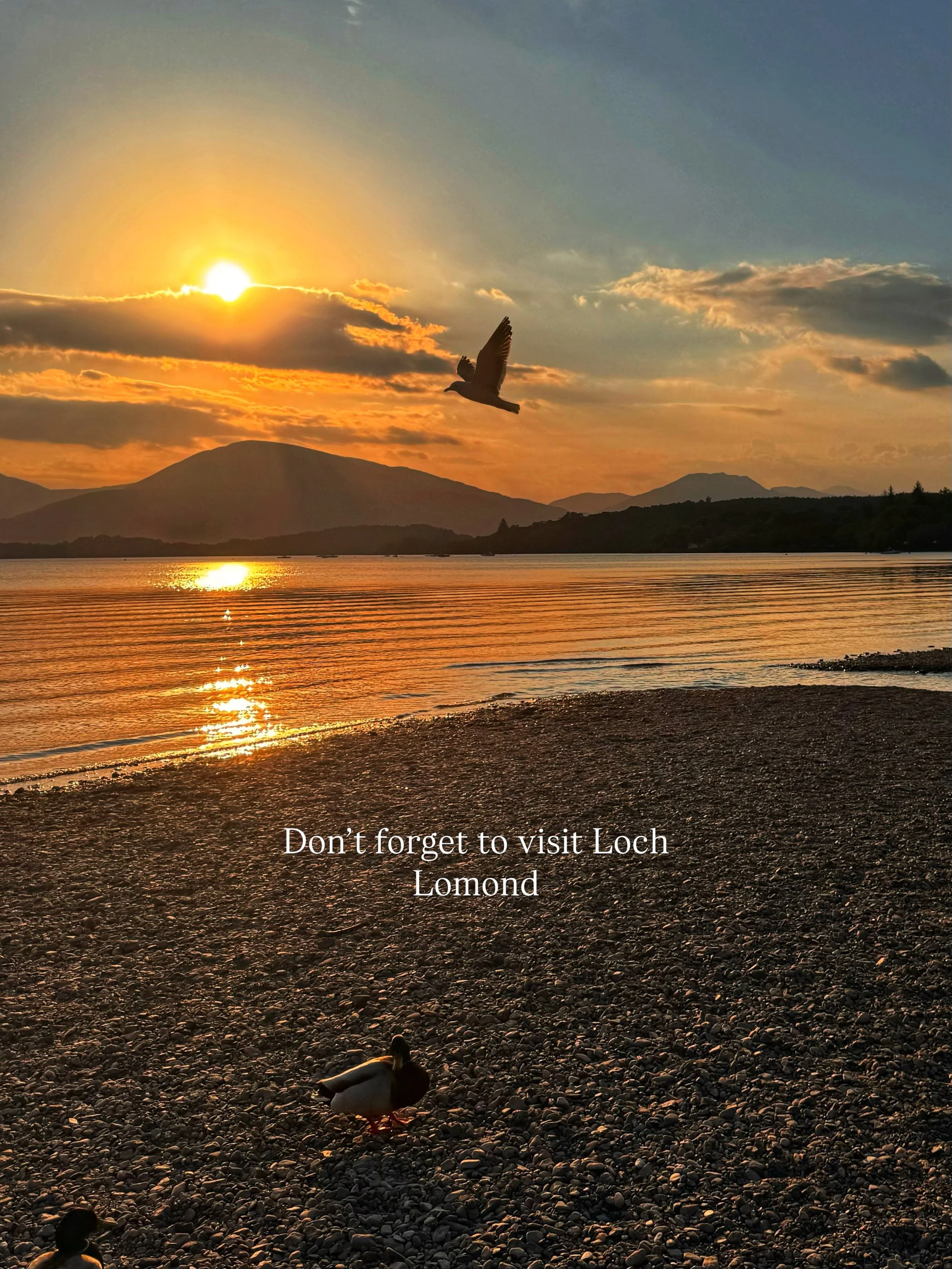 Iconic spots near us. Be in the Trossachs within 30 minutes of our treehouses. We&rsquo;ve had spectacular weather the last two weeks and we are so lucky to have places like this on our doorstep. 
Have you explored Loch Lomond during your stay? 

#lo