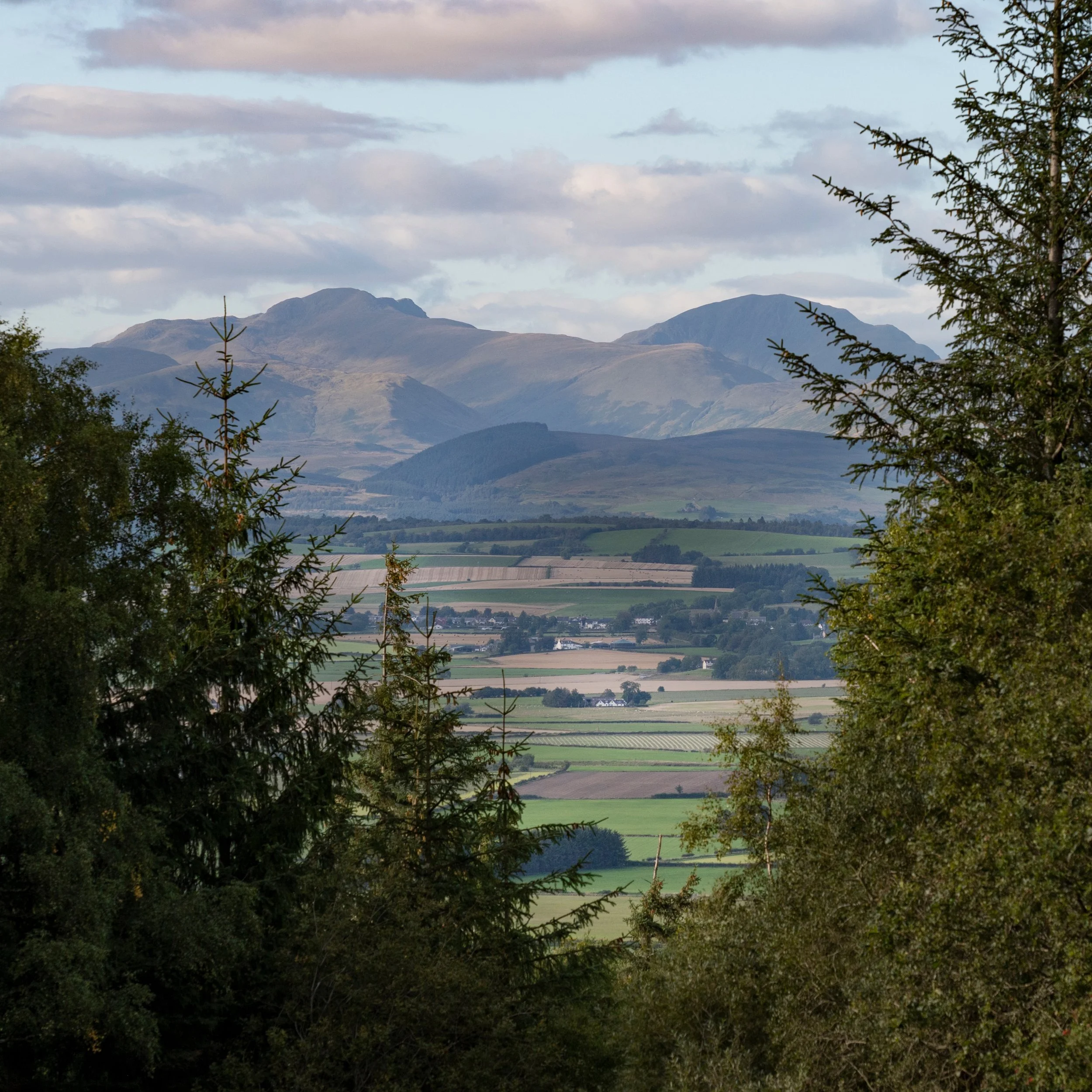 Walkers, hikers and wanderers. There are so many places nearby to explore and we are always happy to point you in the right directionc and The Ochils are on our doorstep

#scottishscenery #hillwalking #scottishhhills