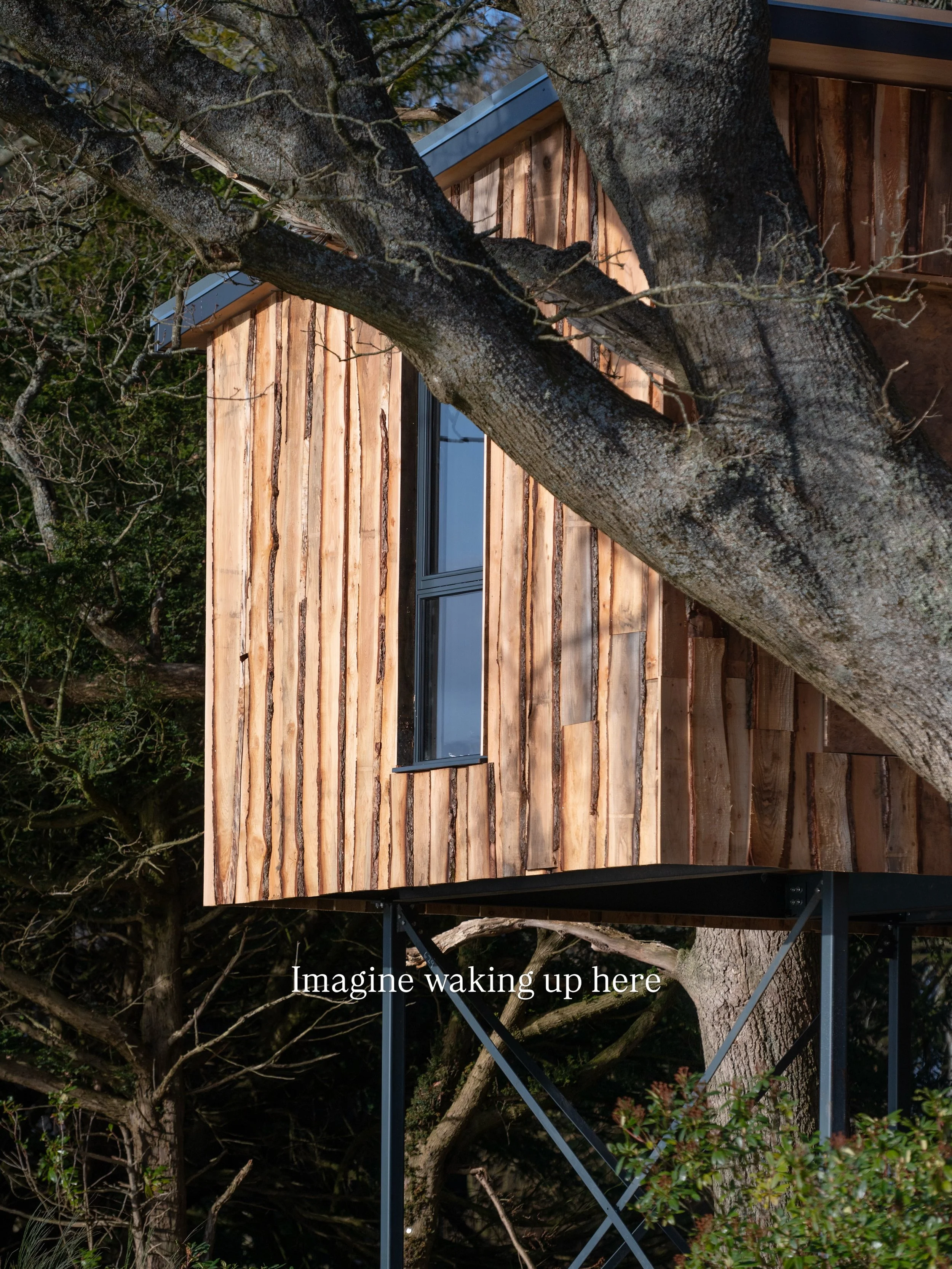 Siskin is built around a 300 year old oak tree 
We have space 2-5th June in this stunning treehouse for 4. 
Overlooking a pond with the hills behind, you&rsquo;ll wake up in a dream. 

There are so many beautiful areas to explore and enjoy the best o
