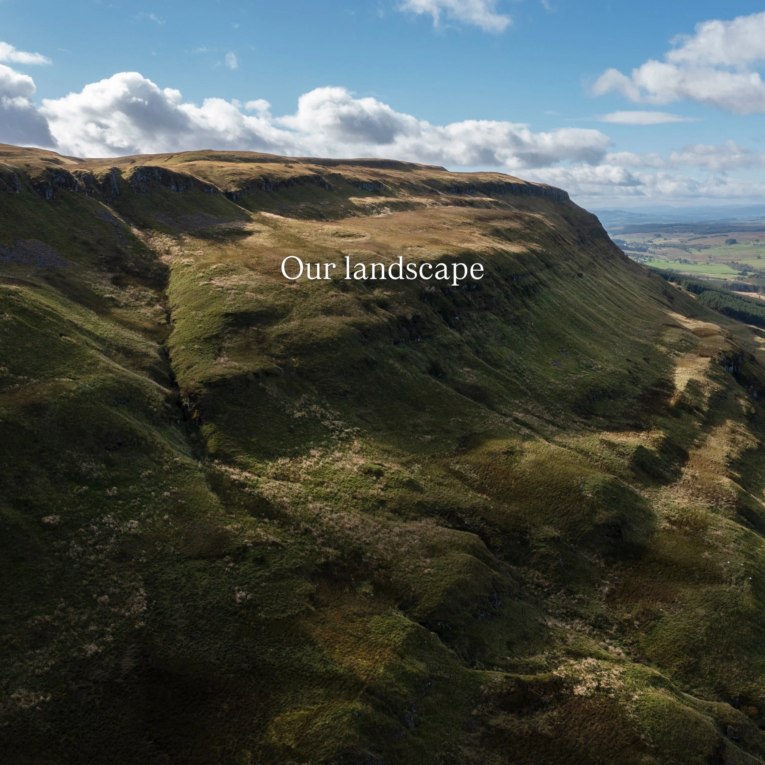 The landscape here is absolutely breathtaking. Scotland at its best - Right next to the iconic and historic town of Stirling. 
Our unique treehouses offer the most relaxing of breaks and sleep between 2&amp;4 people. 

Book directly for best rates 

