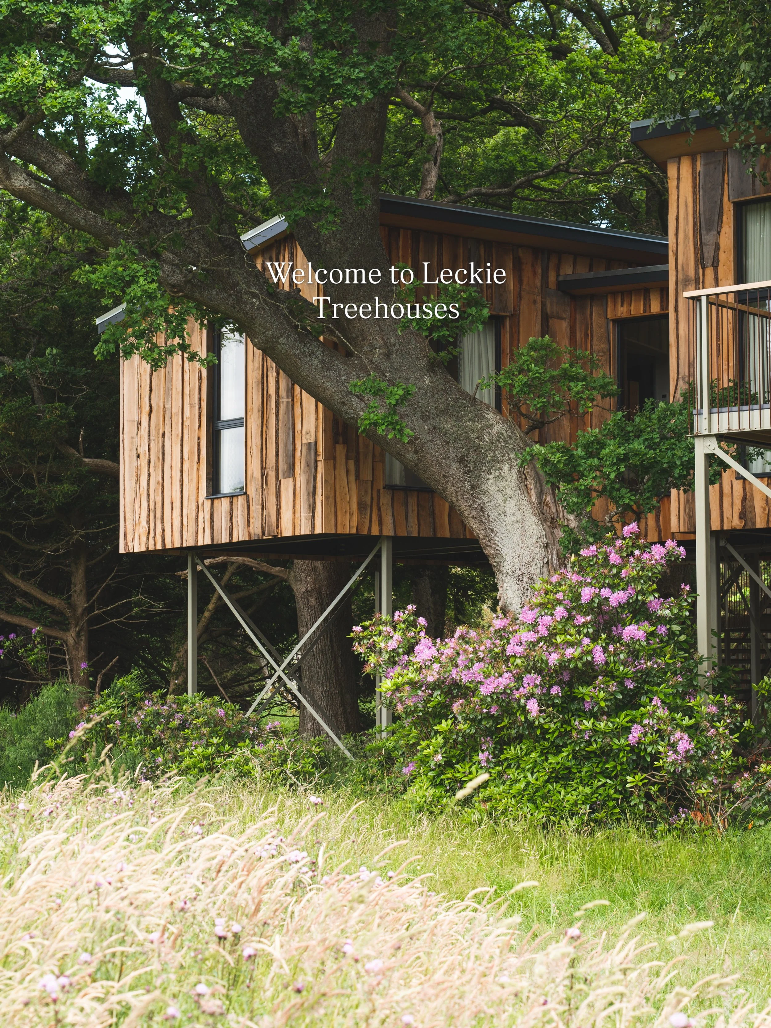 Welcome to our Treehouses at Leckie. 
We are situated 10 minutes from Stirling. 

There are 4, stunning treehouses here, all thoughtfully designed and truly unique. 
&bull;Chiffchaff 
&bull;Goldfinch
&bull;Wren
&bull;Siskin

🐾Dog friendly site 
🛁Ou