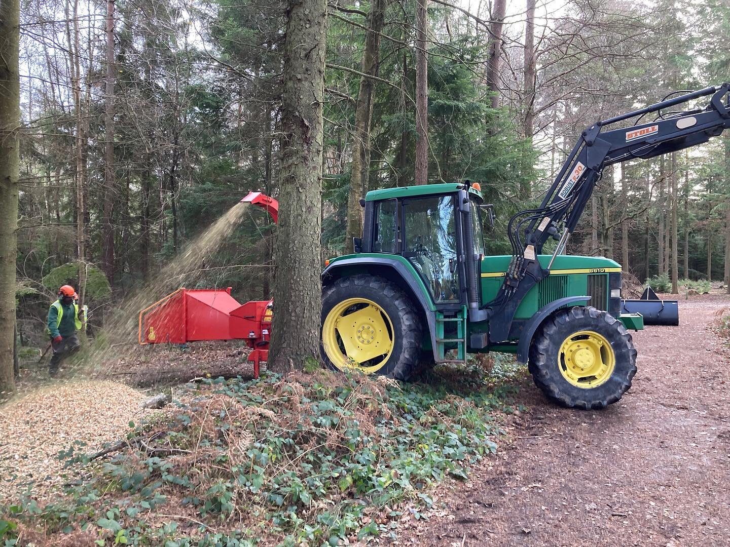 @tilgateparkcrawley - Invasive species removal:  Over the last 6 weeks we have been working at Tilgate Park in Crawley removing invasive species within the woodland. These include species such as Rhododendron, Western Hemlock and Laurel, which left t