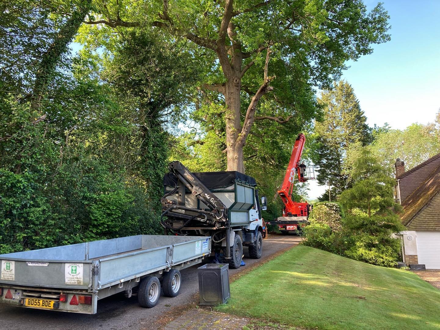 A big Oak tree dismantle in Crockham Hill recently. Luckily it wasn&rsquo;t as hot as it is today 😜 Well done team👊