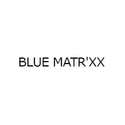 Blue Matrxx Logo.jpg