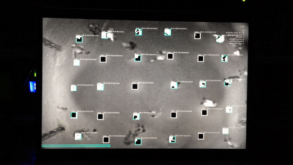 score_software_cv.gif