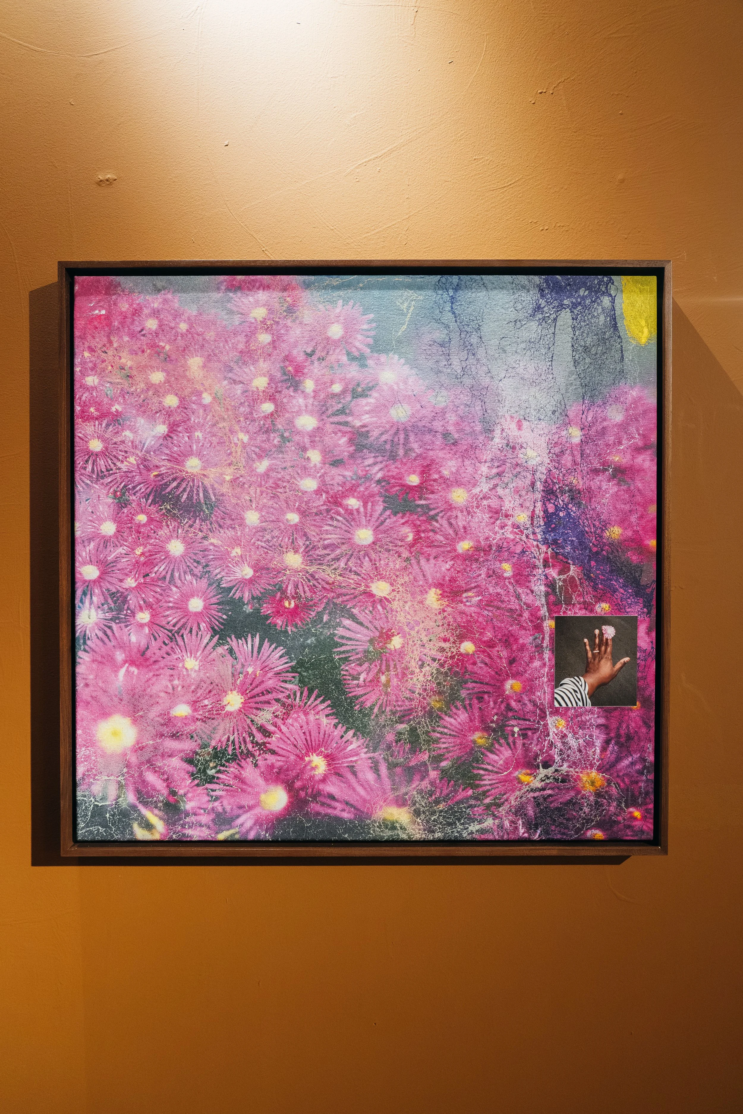 OSCAM WABG 5 maart 2026 AlmichealFraay @maikeljay-20.jpg