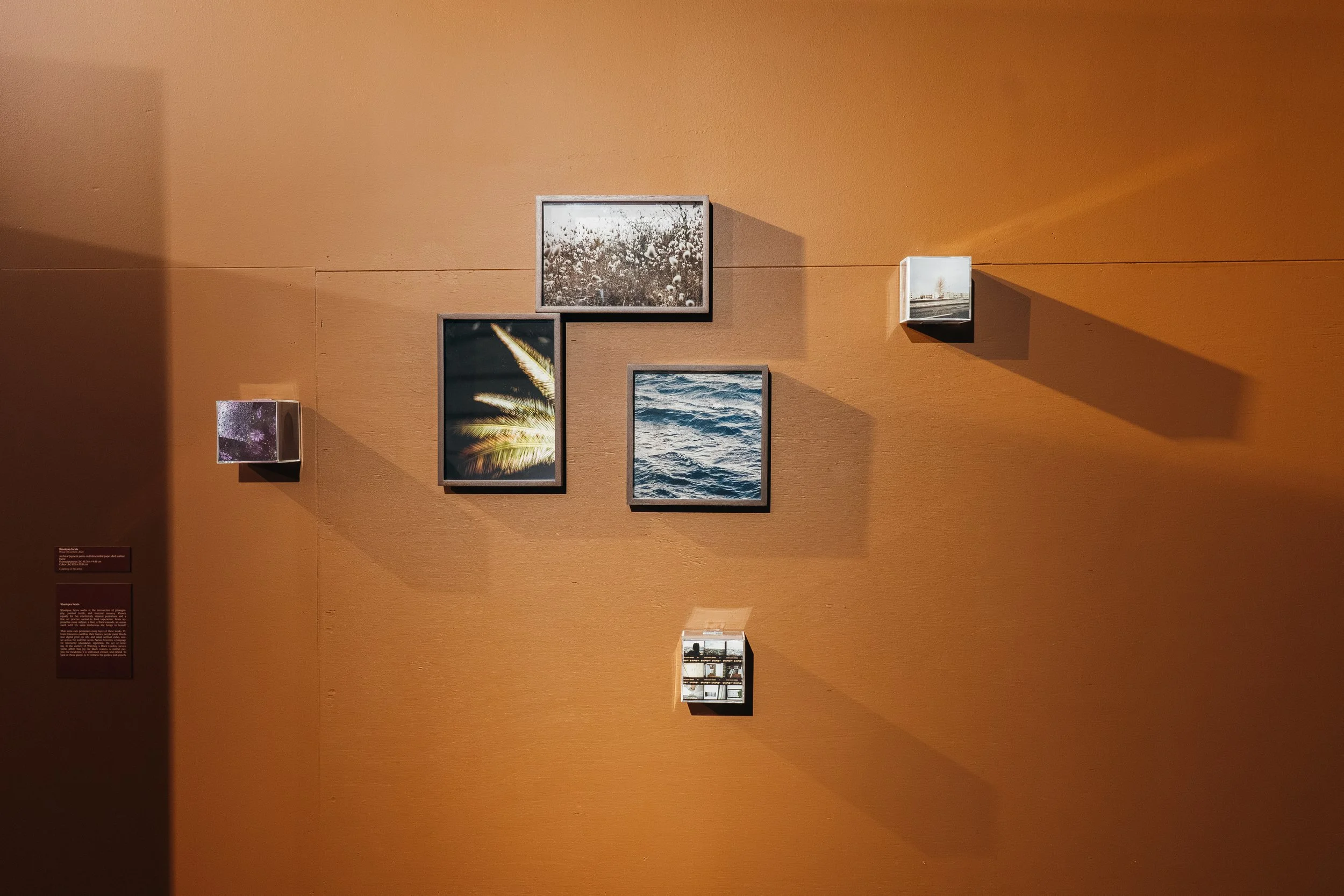 OSCAM WABG 5 maart 2026 AlmichealFraay @maikeljay-21.jpg