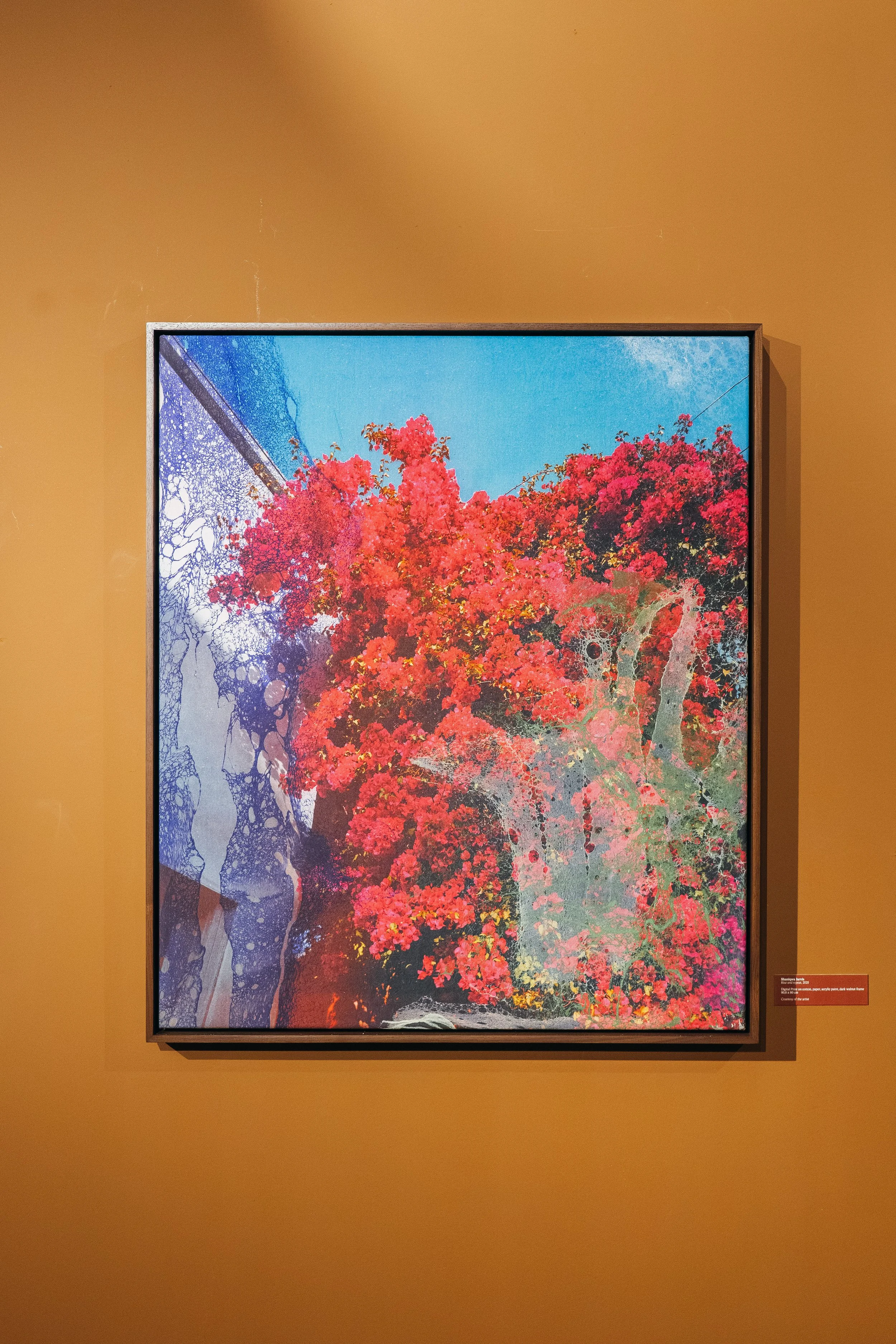 OSCAM WABG 5 maart 2026 AlmichealFraay @maikeljay-35.jpg