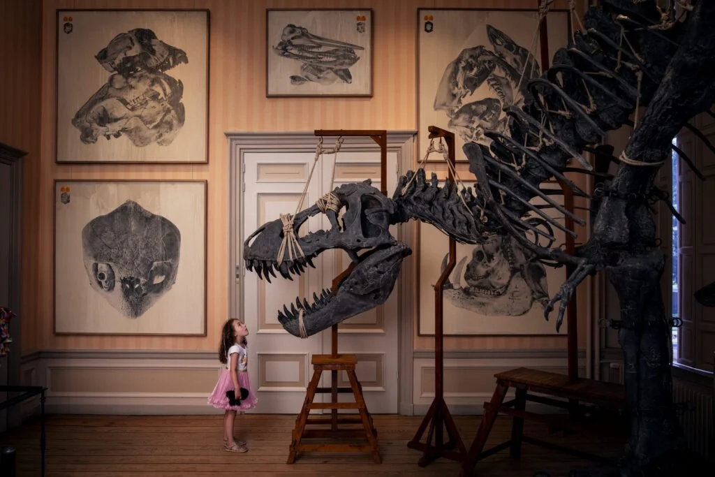 Relics in het Art Zoo Museum