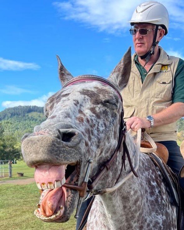 Tango our beautiful Appaloosa was very excited to have his Dad on board - it was a mixture of yawning and laughter 😂😂🐴🐴🐴 #appaloosa #funnyhorses #ponylove 🐴🐴😂❤️🙏