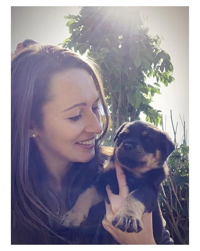 🐾 Sorry (but not really) a couple more photos of these gorgeous puppies 🥰 *
*
*
*
#rottweilerpuppies #10puppies #rottweiler #rottiepuppy #rottweilersofinstagram #rottiepuppiesofinstagram #puppycuddles #puppiesofinstagram #puppylove #puppytraining #