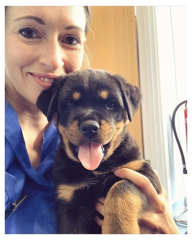 🐾 Did you know that puppies have an extremely sensitive period around the age of 8-9 weeks old?! This is in the middle of their critical/socialisation period which is about 3 weeks and 3 months of age. 
Events and experiences that happen to a puppy 