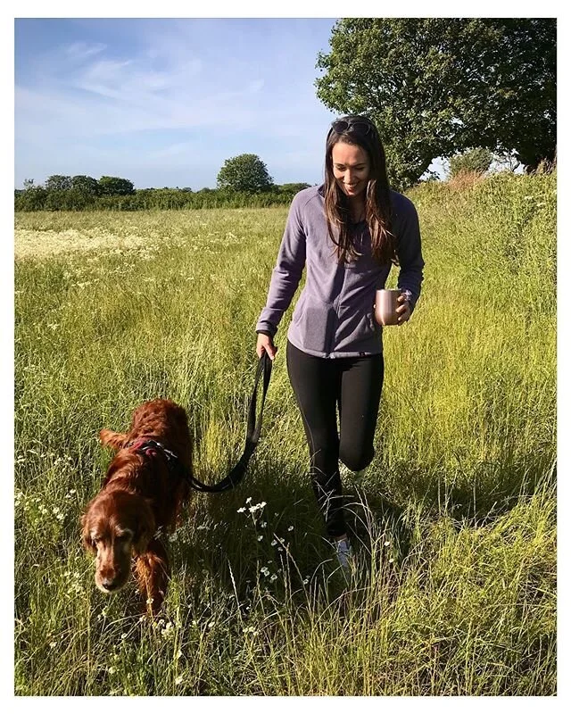 🌼 🌿 Take a couple of minutes to stop and breathe and admire the world around you, especially when this is on your doorstep ☀️ *
*
*
#guernseylife #guernseydogs #islandlife #dogwalks #irishsetter #olddog #dogsofinstagram #irishsettersofinstagram #se