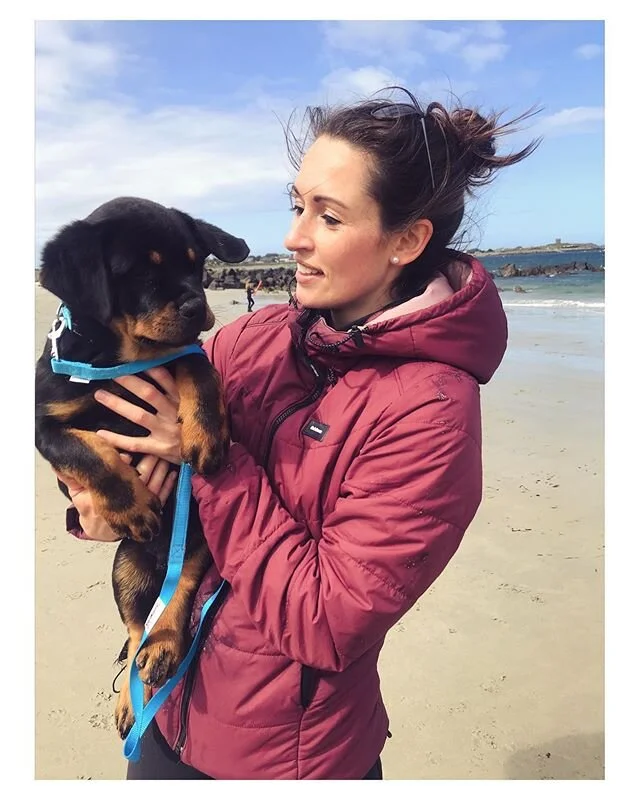🐾 The Rottie puppies had their first visit to the beach today.... I could quite happily take Obi home 💙 going to miss them all so much. &bull;
&bull;
&bull;
#puppytraining #rottiesofinstagram #rottiepuppy #rottweilerpuppy #rottie #rottielove #rottw