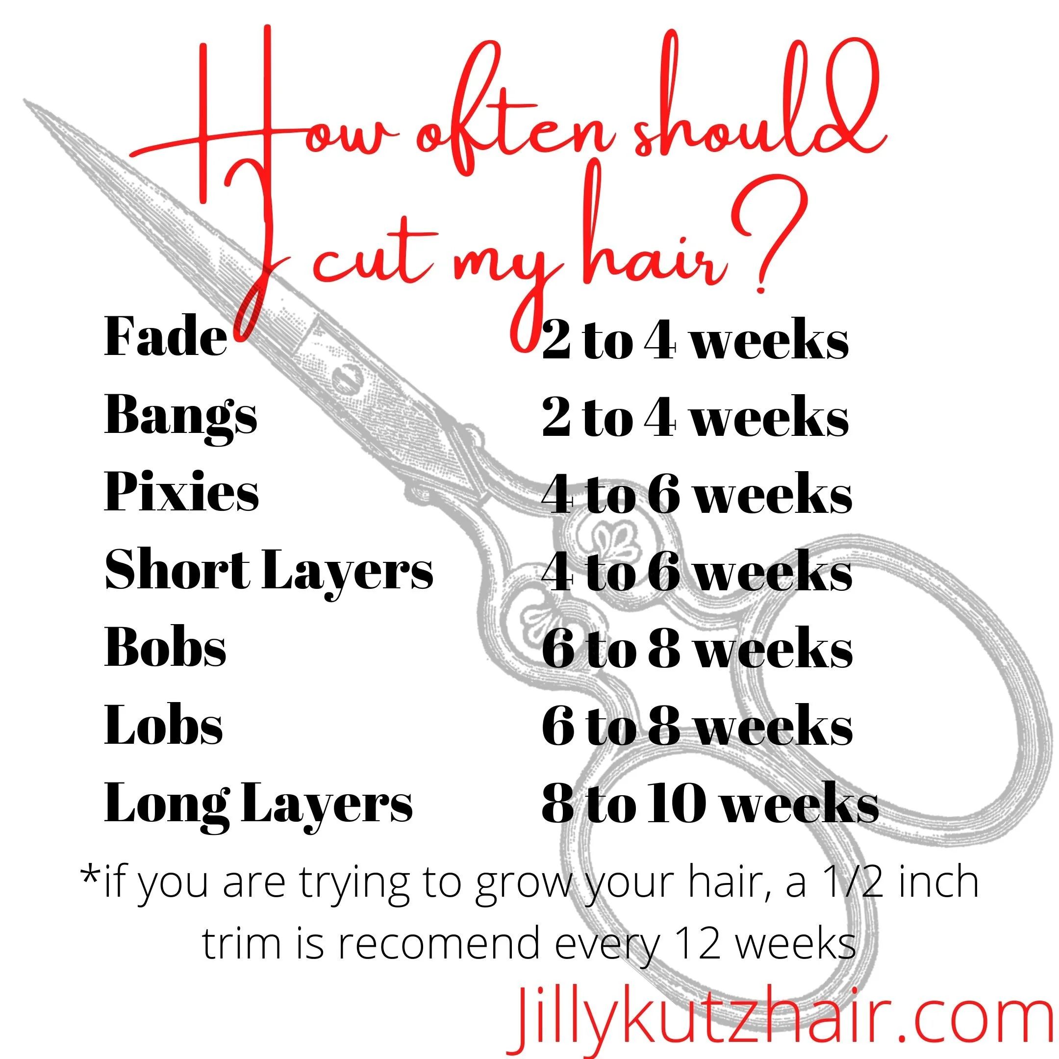 When should I cut my hair_ (1).jpg