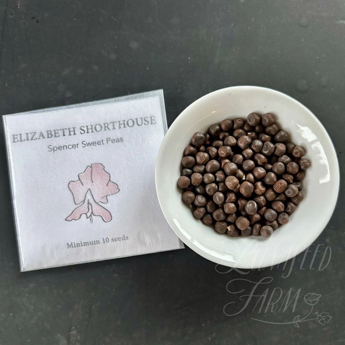 Elizabeth Shorthouse Sweet Pea seeds
