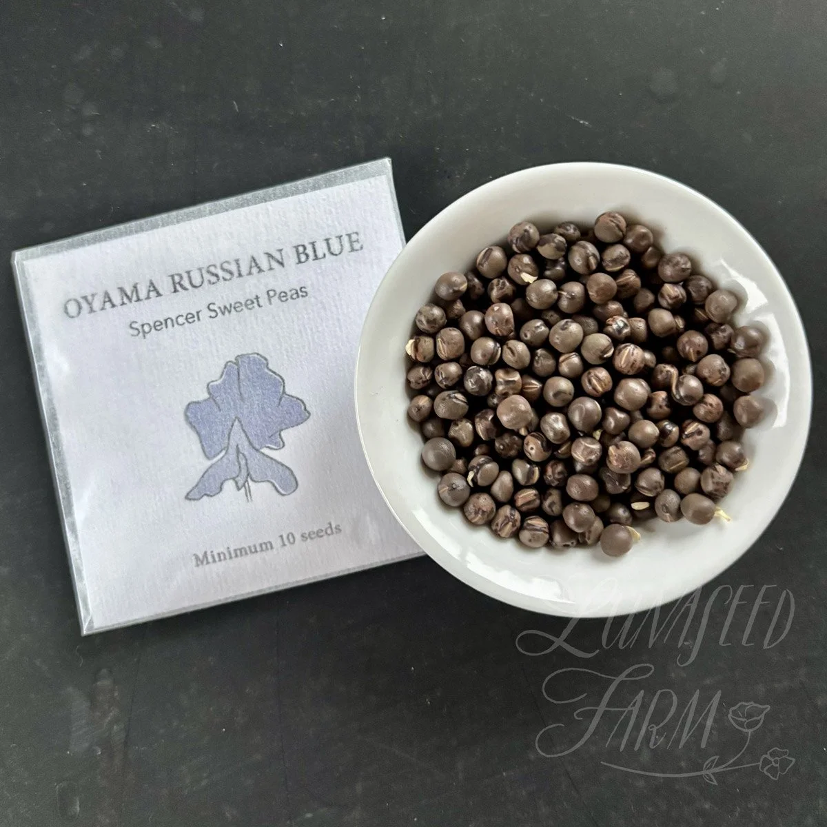 Oyama Russian Blue Sweet Pea Seeds
