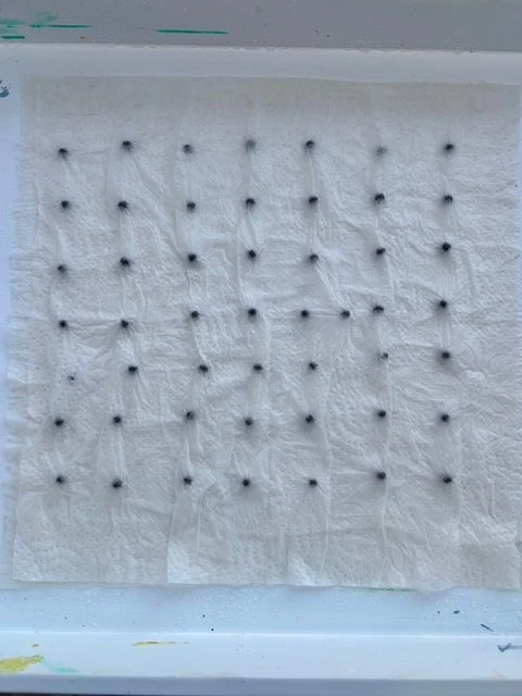 Mist Top Paper Towel and Pat Flat.