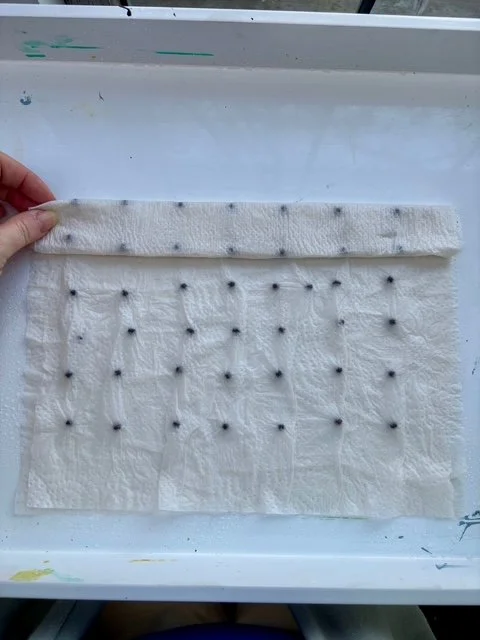 Roll up Sweet Pea Seed Burrito