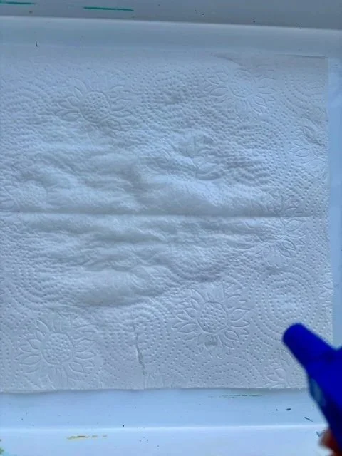 Mist paper towel