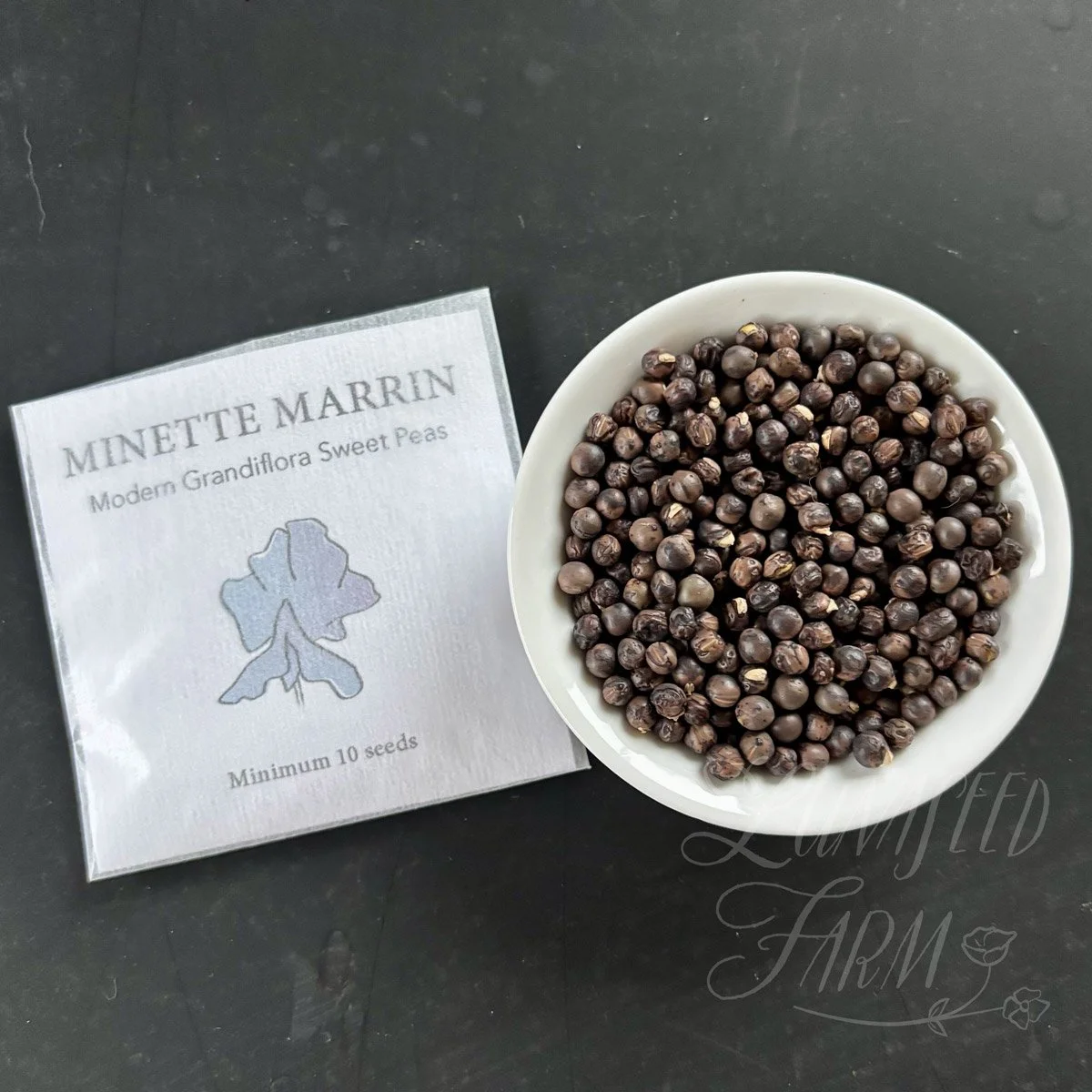 Minette Marrin Sweet Pea Seeds