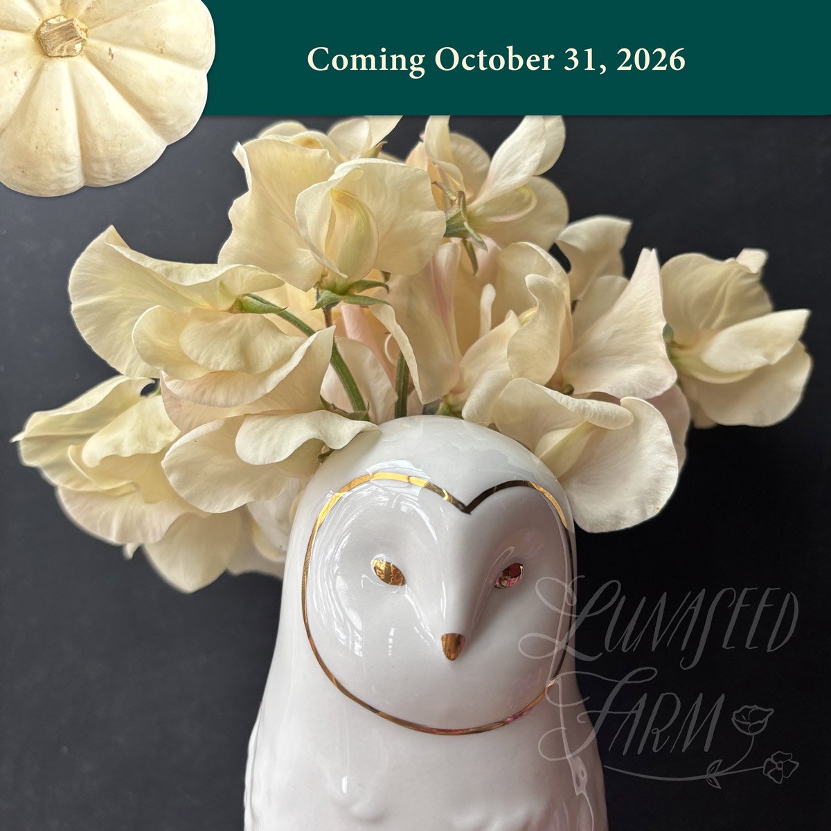 LSF_Juliet_SweetPea_oct26.jpg