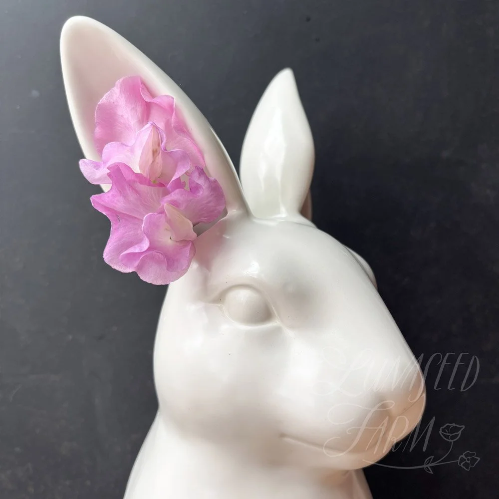 Sweet Pea Lilac Romance
