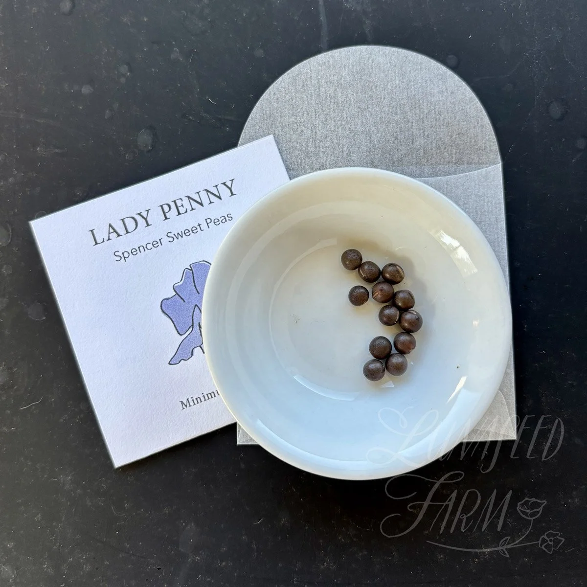 Lady Penny Sweet Pea Seeds