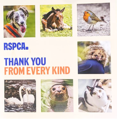 Various animals with RSPCA branding saying - THANK YOU FROM EVERY KIND