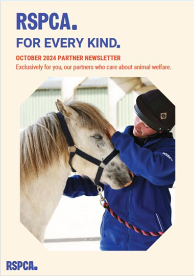 Person stroking a horses face as cover image for a partner newsletter dated October 2024 RSPCA